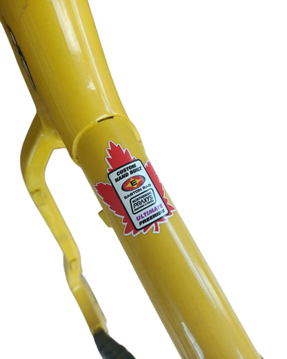 Quadro Banshee Morphine 2009 (Usado)