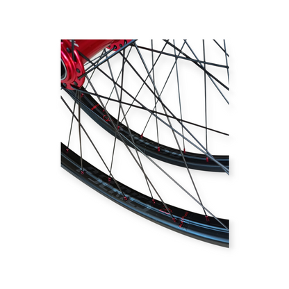 Rodas Specialized P.Series P.Fix 26" (PAR)