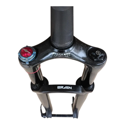 Suspensão Rock Shox Sid Brain 29" (Usado)